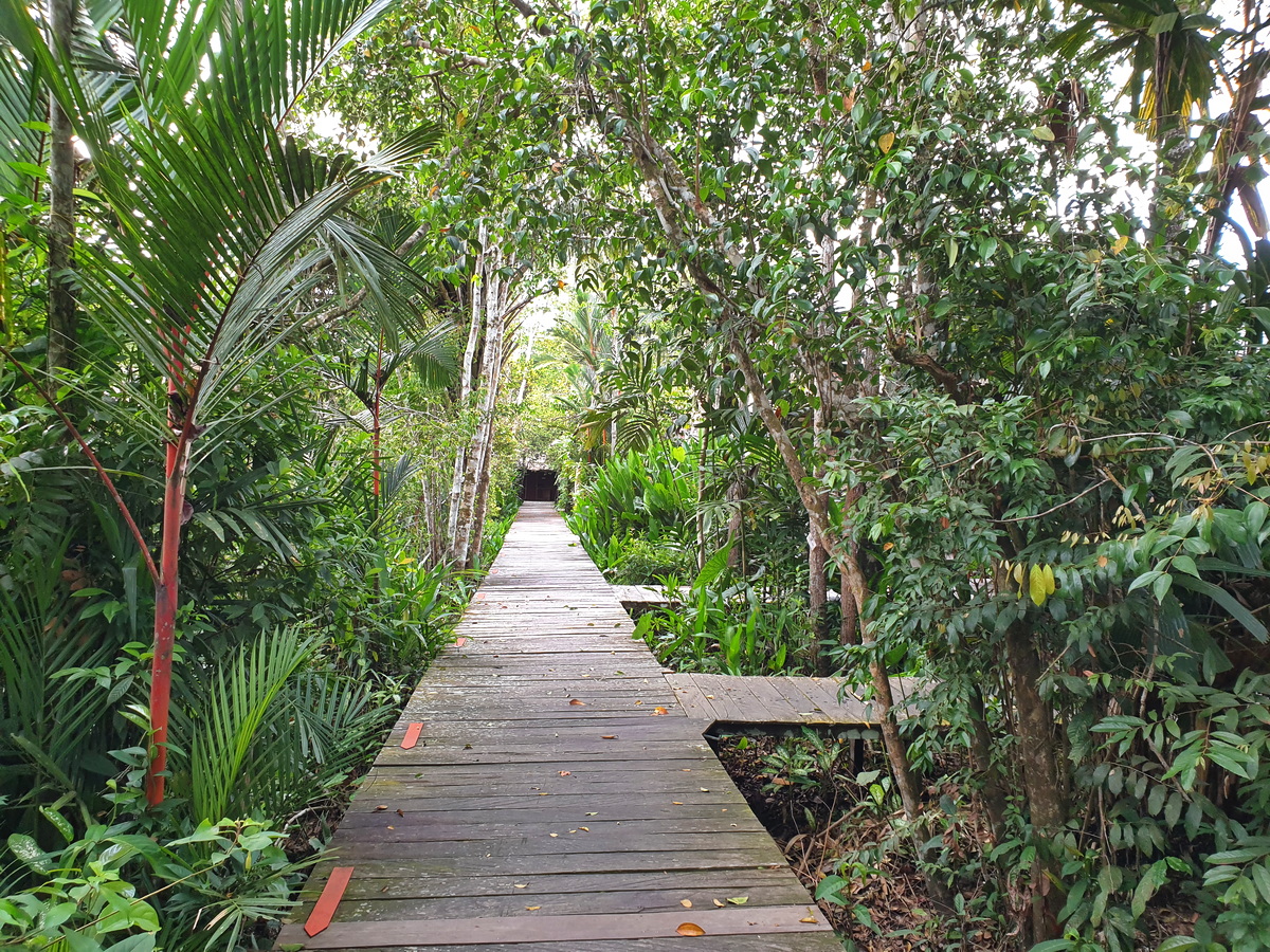The lodge's jetty on the Sekonyer River is connected to rooms, reception and restaurant via a series of boardwalks