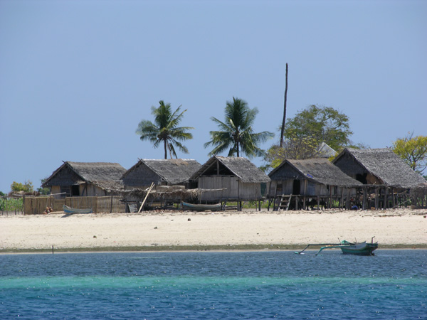 Pulau Babi in Maumere Bay
