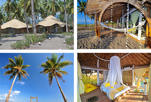 Coconut Garden Beach Resort in Maumere - Flores Island - Indonesia