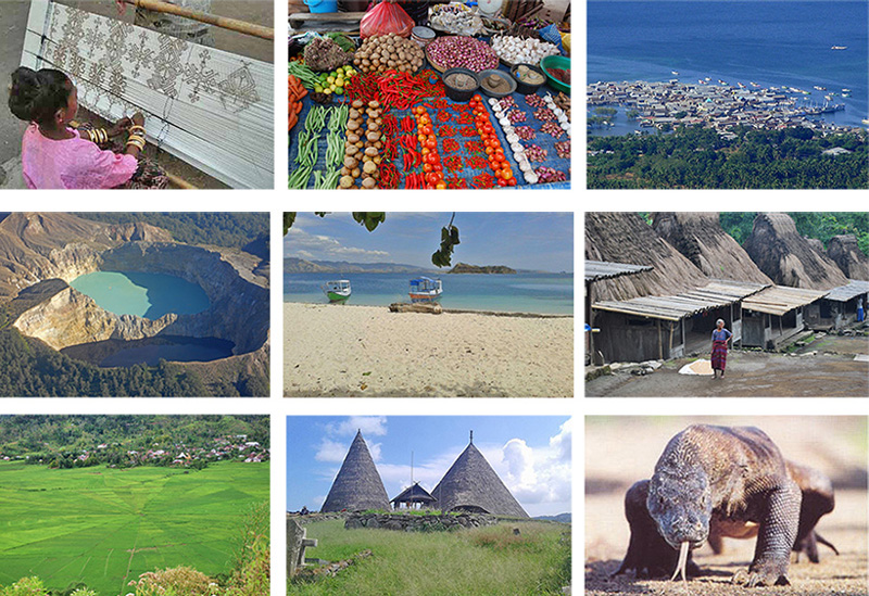 Tours in Flores and Komodo in Indonesia