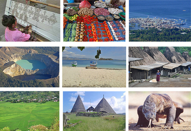 Flores & Komodo Tour Package