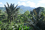 View to Kelimutu from Kelimutu Eco Lodge