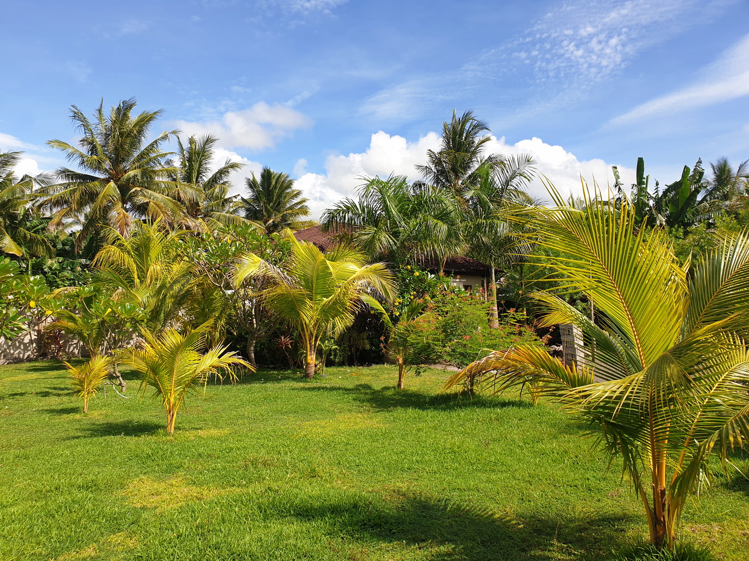Waiara Gästehaus Maumere direkt hinter dem Strand - Flores Island - Indonesia