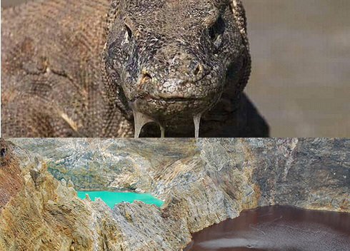 Komodo und Kelimutu Tour