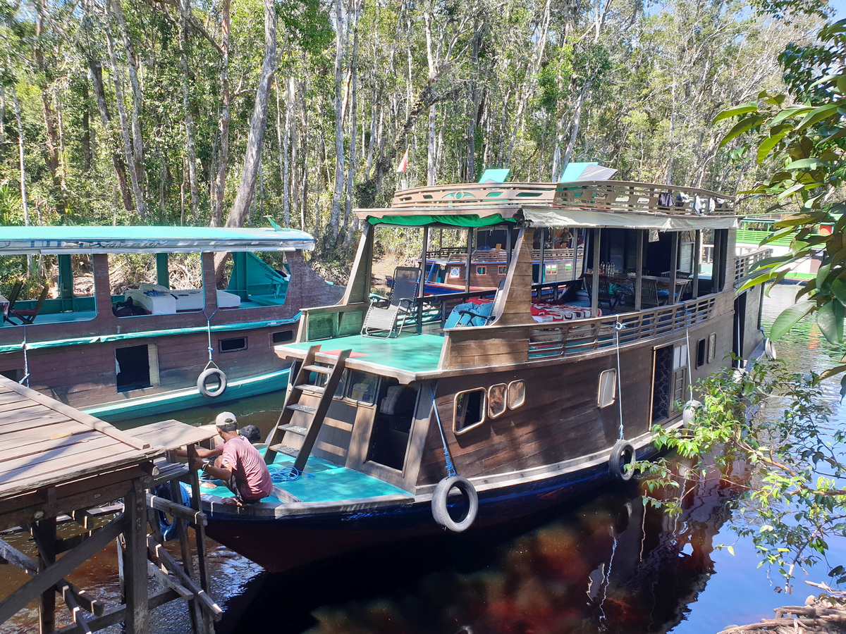 Klotok Boat - Tanjung Puting National Park