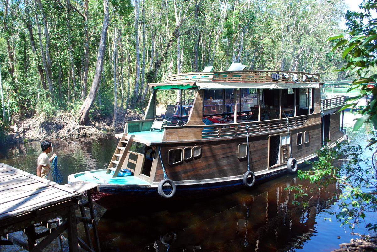 Klotok Boat - Tanjung Puting National Park