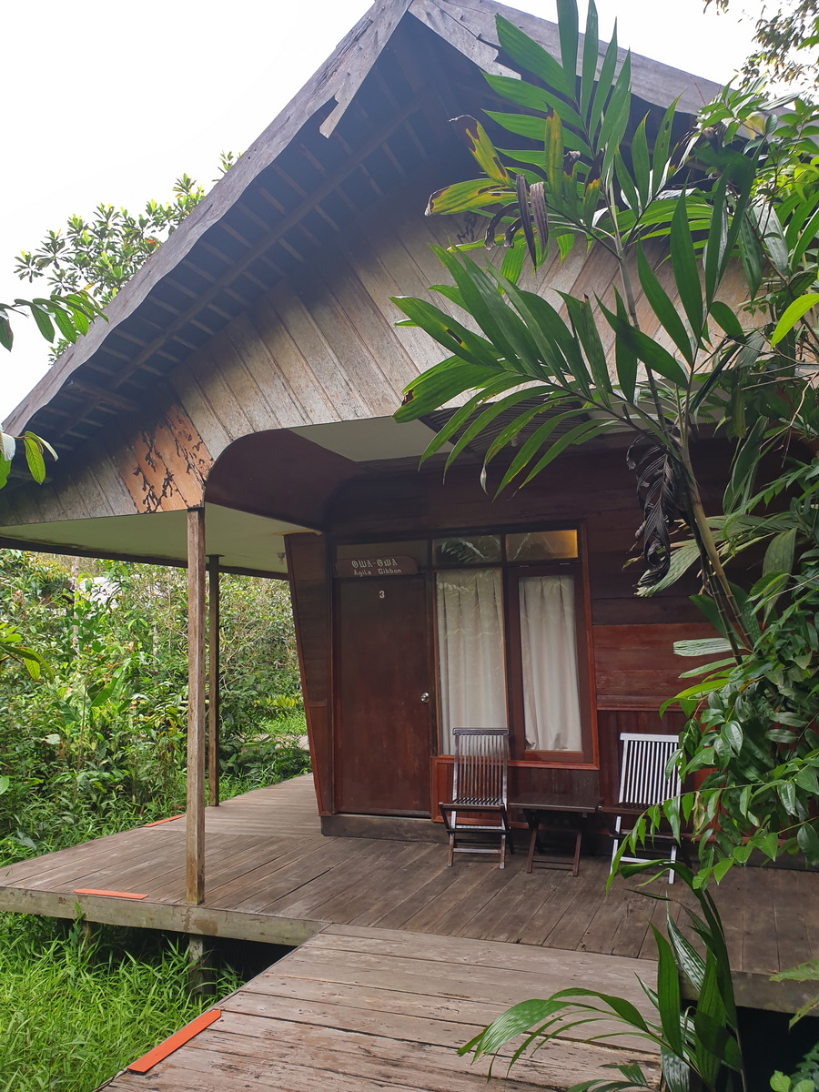 Rimba Lodge - Rooms  in wooden Cottages