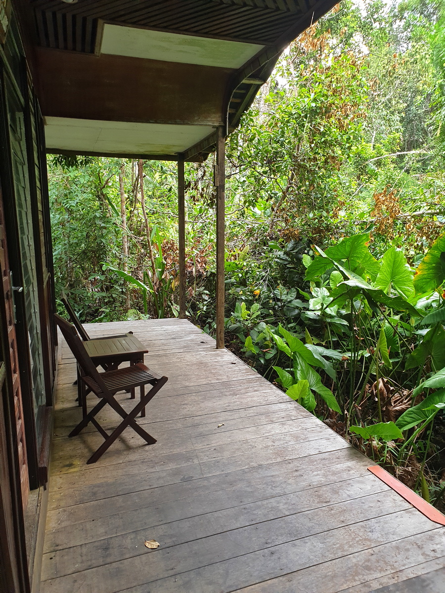 Rimba Lodge - Rooms in wooden cottages