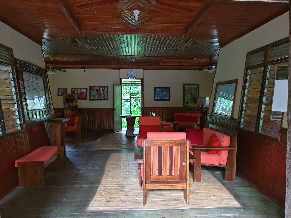 Rimba Lodge - Lobby