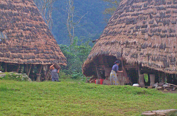 Wae Rebo Flores Ruteng Indonesia